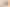 Reaktion – Zentrum für Politische Schönheit